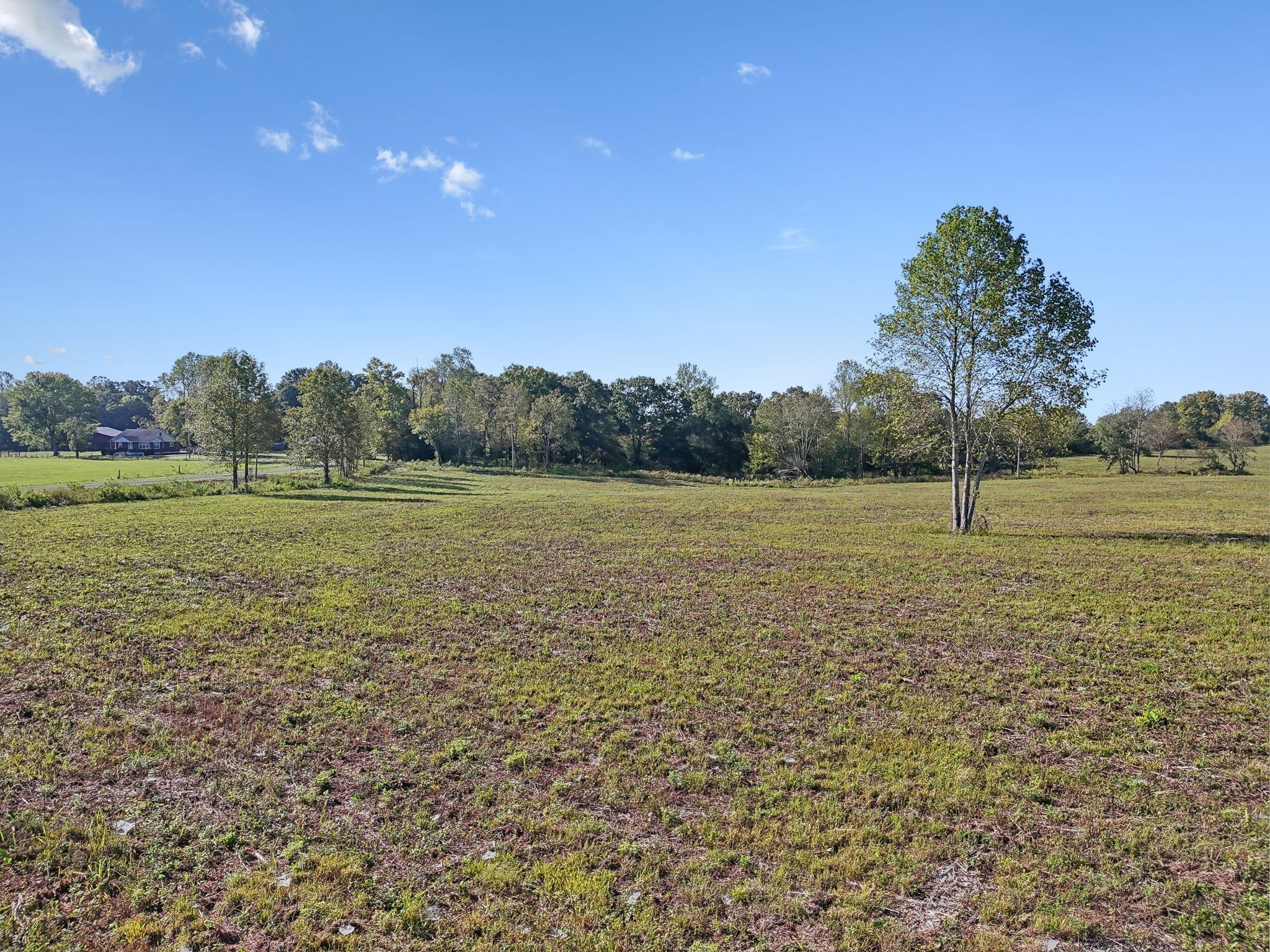 1 7 Springs Road Smithville, TN 37166 - Photo 5 of 19 a view of a field with an outdoor space