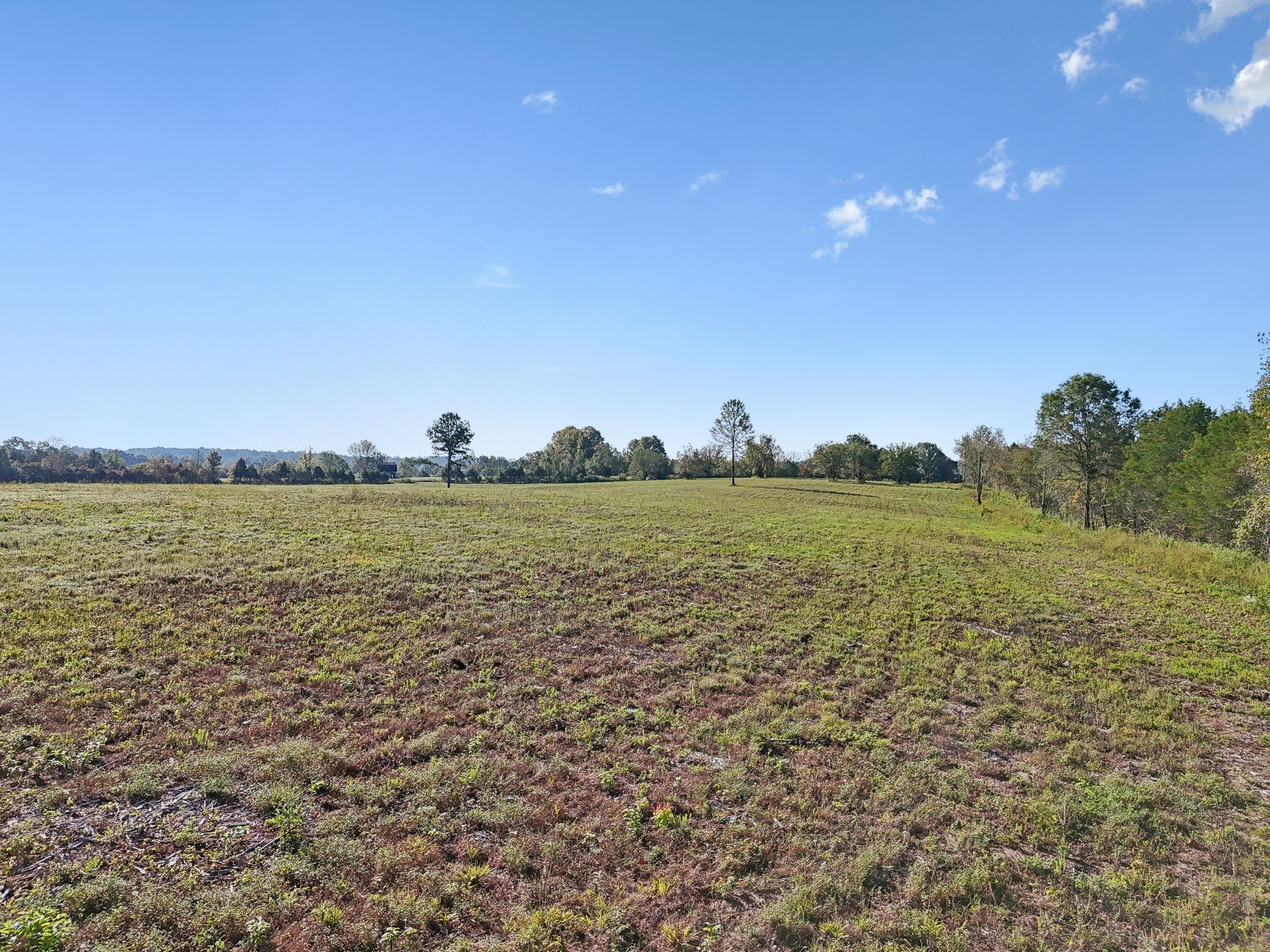 1 7 Springs Road Smithville, TN 37166 - Photo 9 of 19