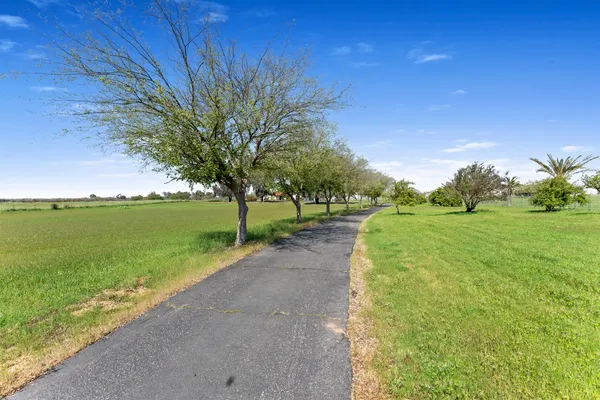 a view of a garden with an outdoor space
