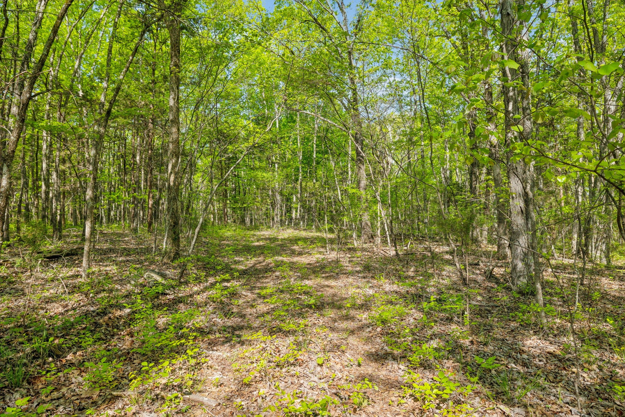 1716 South Berlin Road Lewisburg, TN 37091 - Photo 12 of 78