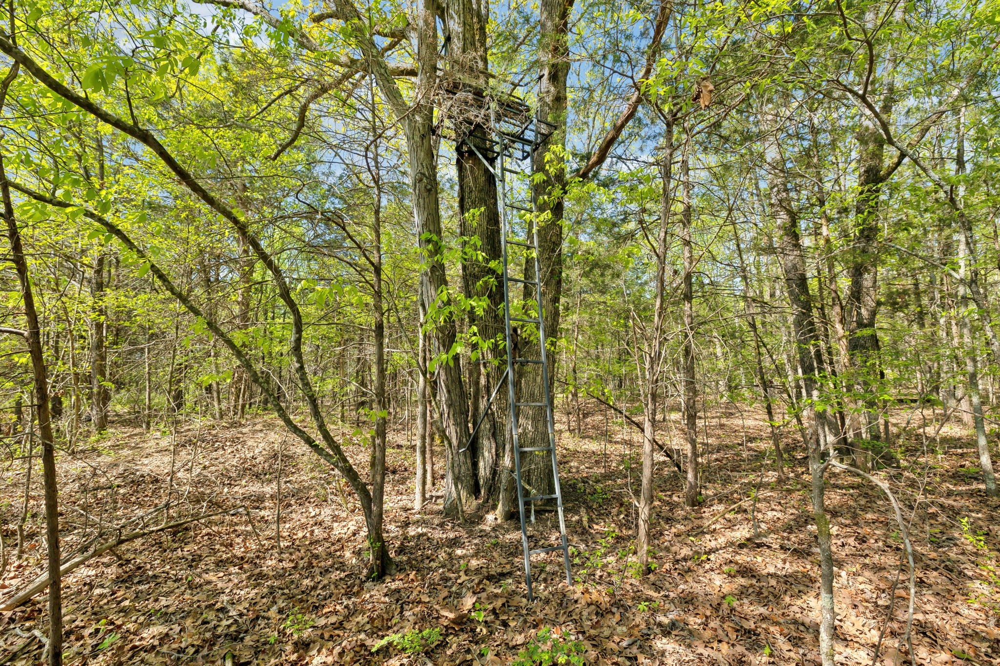 1716 South Berlin Road Lewisburg, TN 37091 - Photo 14 of 78