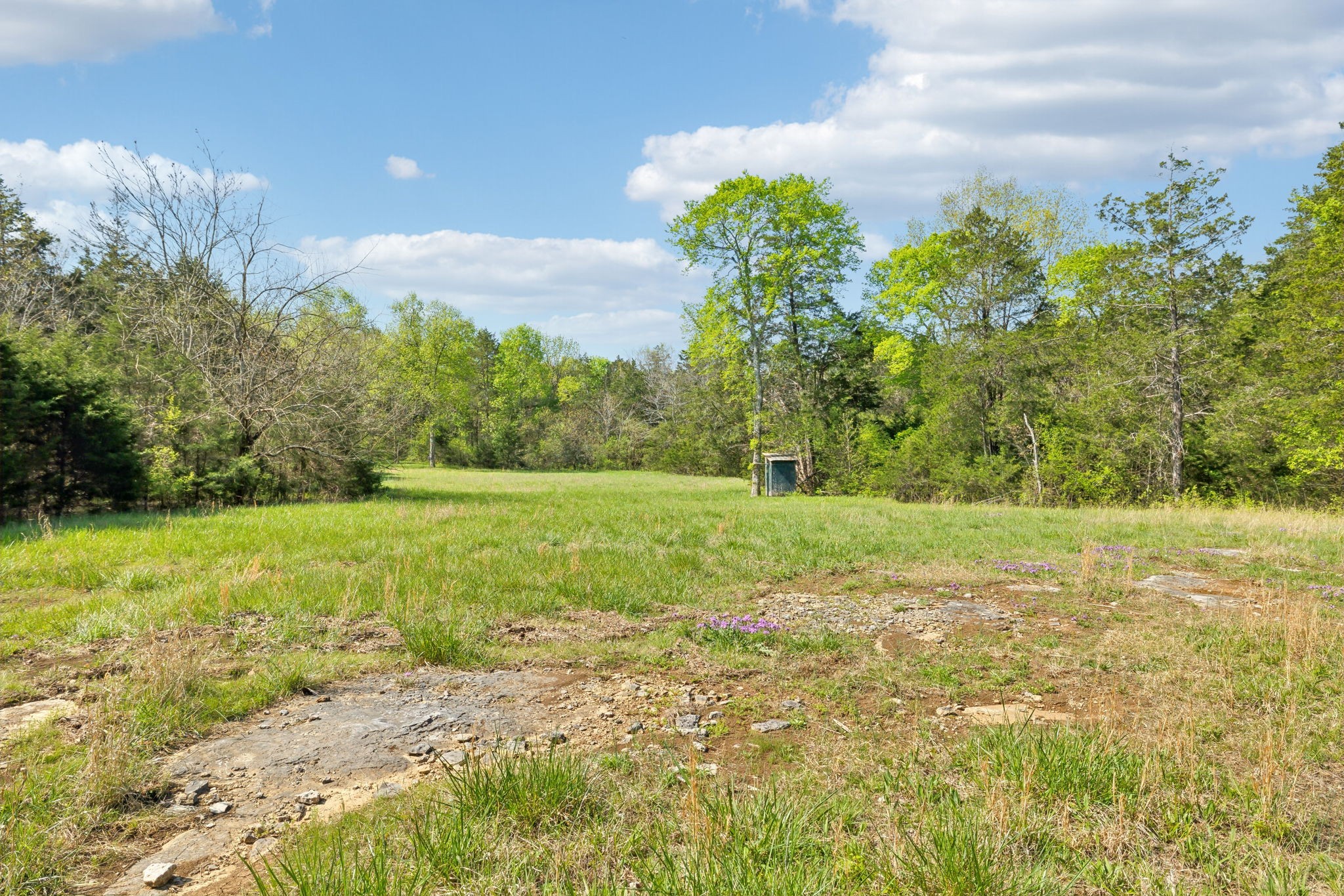 1716 South Berlin Road Lewisburg, TN 37091 - Photo 18 of 78 a view of a field with an trees
