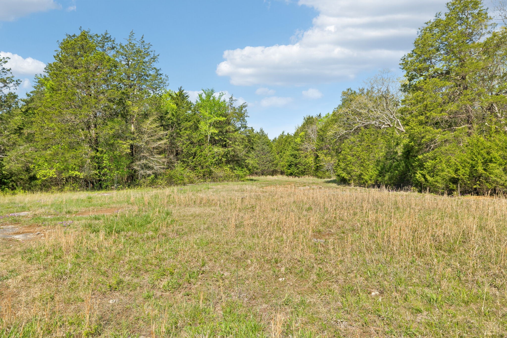 1716 South Berlin Road Lewisburg, TN 37091 - Photo 21 of 78