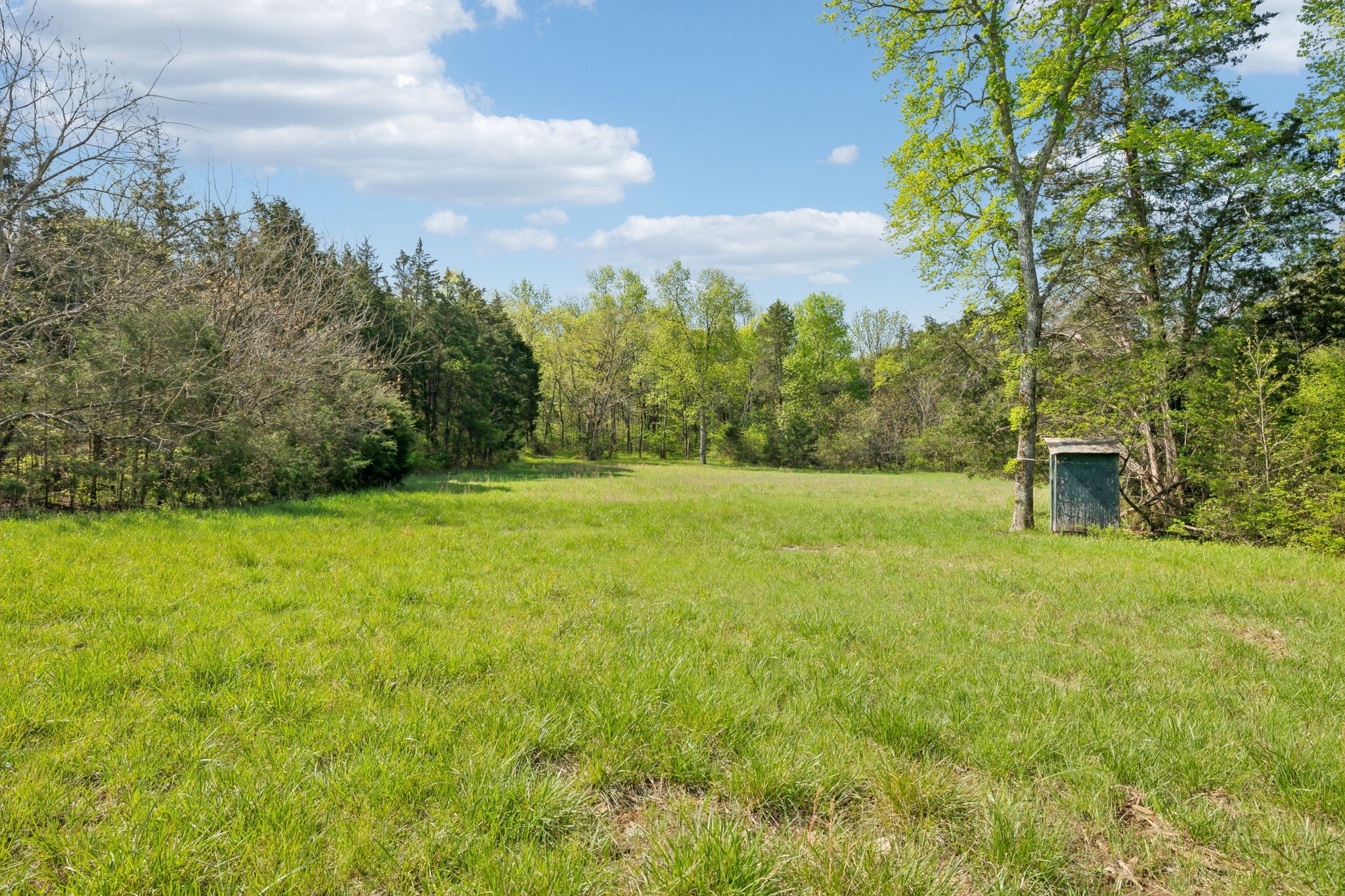 1716 South Berlin Road Lewisburg, TN 37091 - Photo 23 of 78 a view of a yard with a house