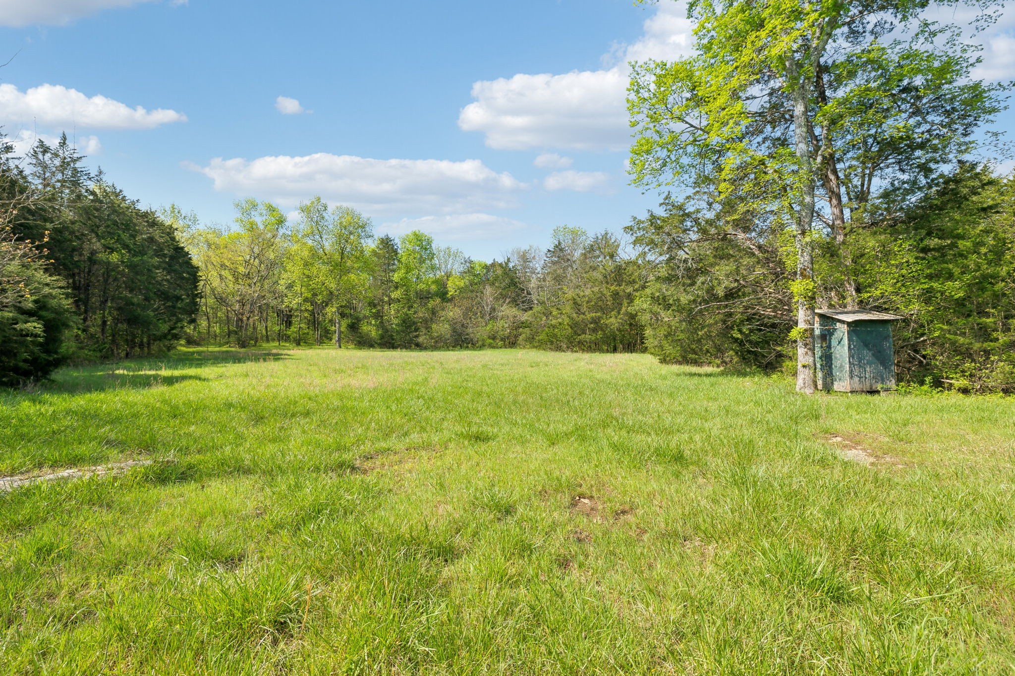 1716 South Berlin Road Lewisburg, TN 37091 - Photo 24 of 78 a view of a green field with trees in the background