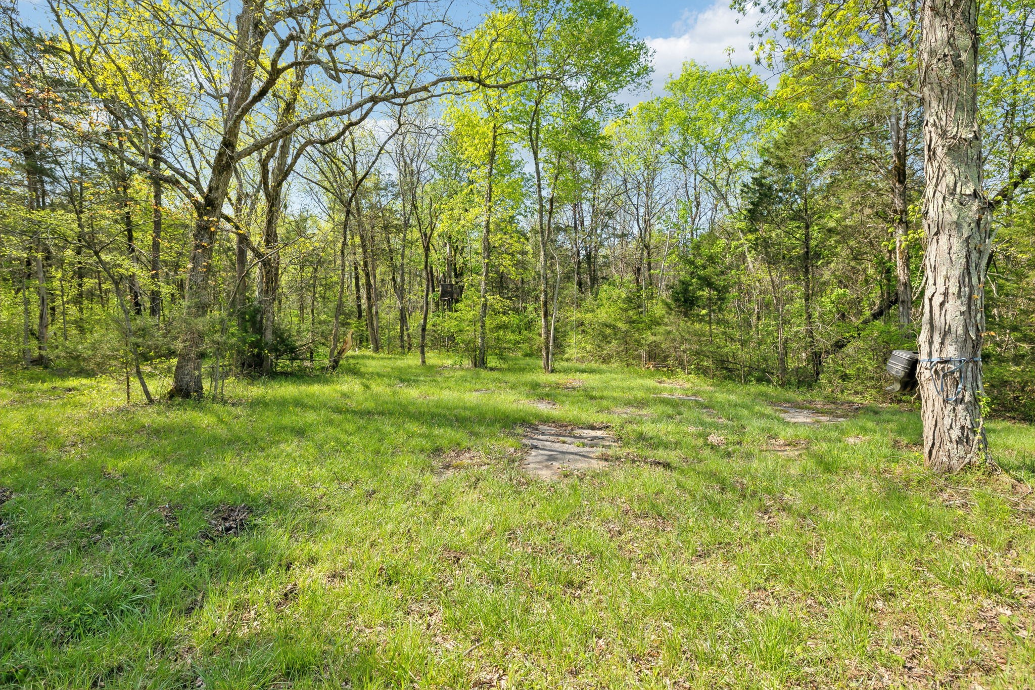 1716 South Berlin Road Lewisburg, TN 37091 - Photo 25 of 78