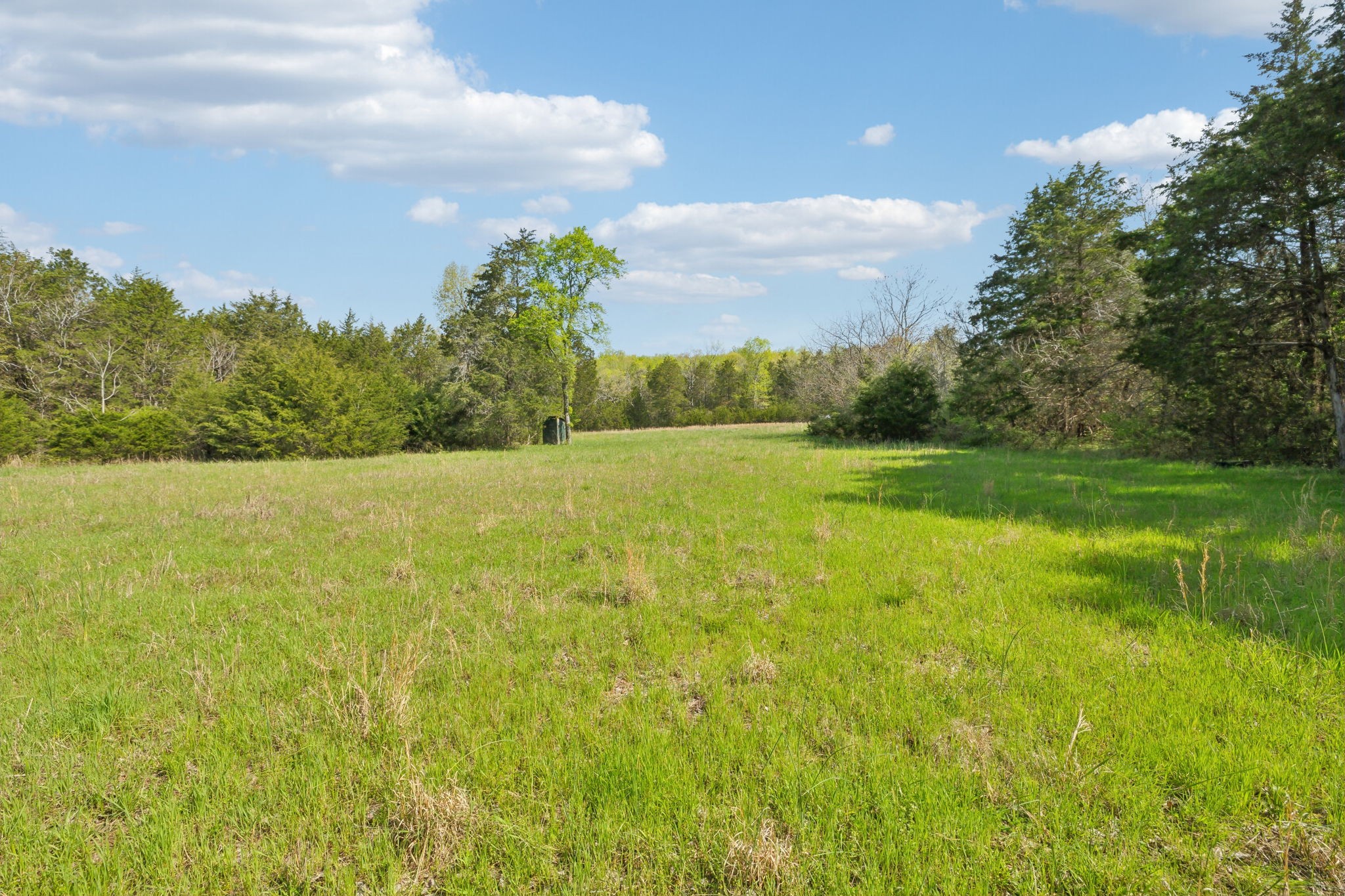 1716 South Berlin Road Lewisburg, TN 37091 - Photo 26 of 78 a view of a field with an ocean view