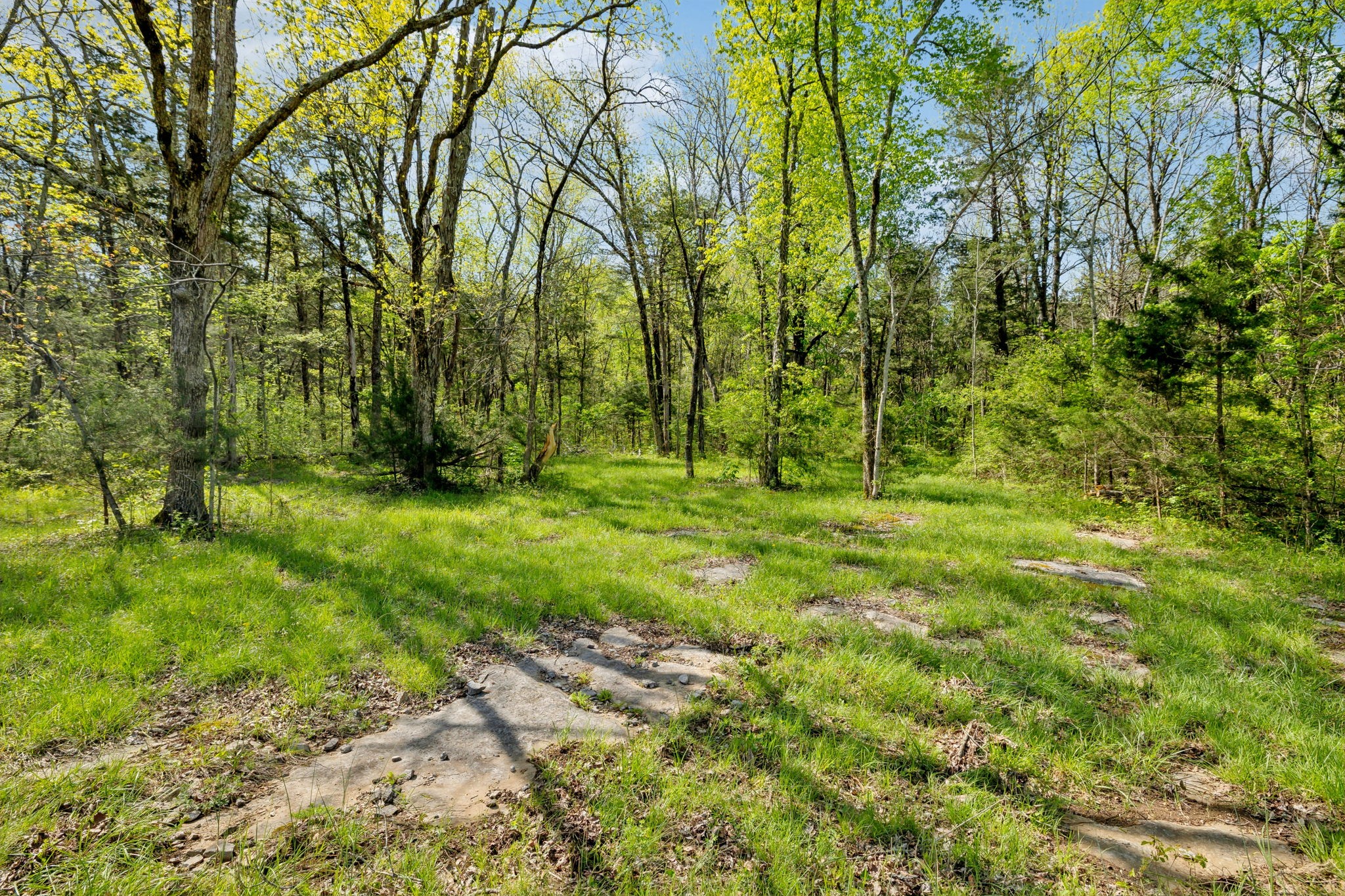 1716 South Berlin Road Lewisburg, TN 37091 - Photo 27 of 78 a view of outdoor space with deck and yard