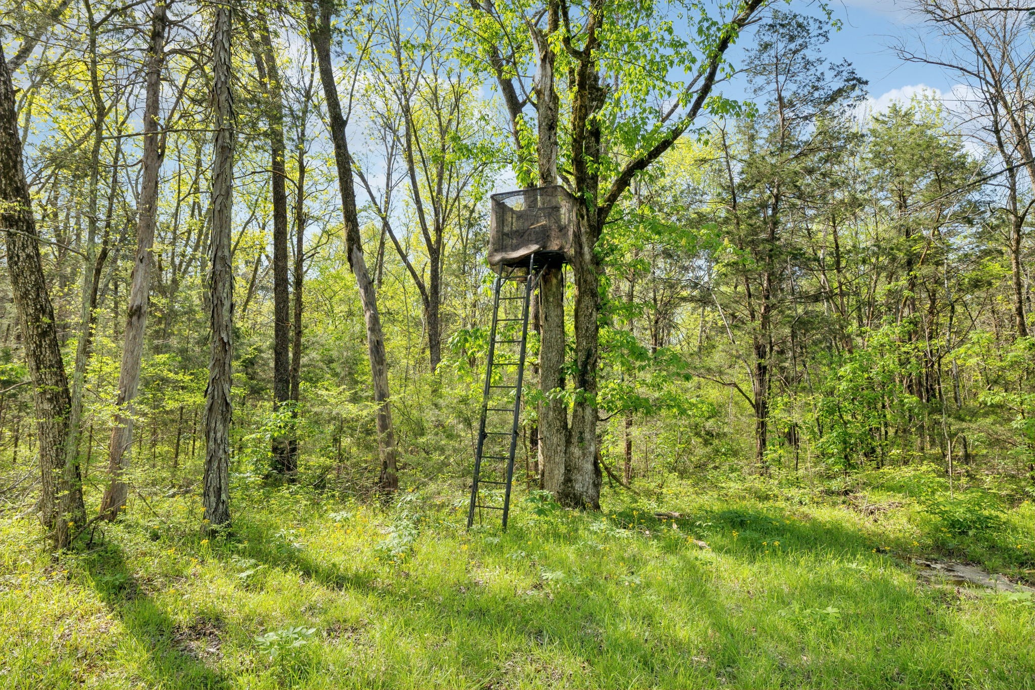 1716 South Berlin Road Lewisburg, TN 37091 - Photo 28 of 78