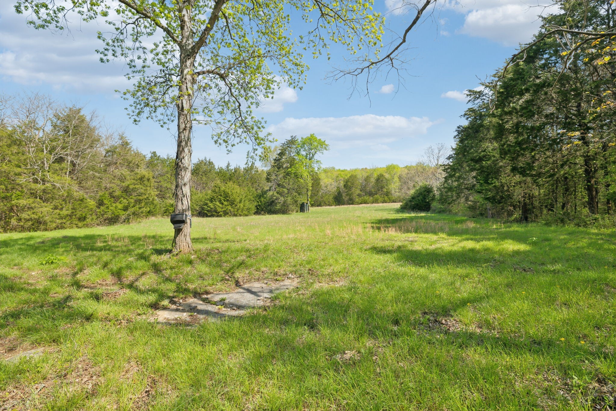 1716 South Berlin Road Lewisburg, TN 37091 - Photo 30 of 78 a view of outdoor space with deck and yard