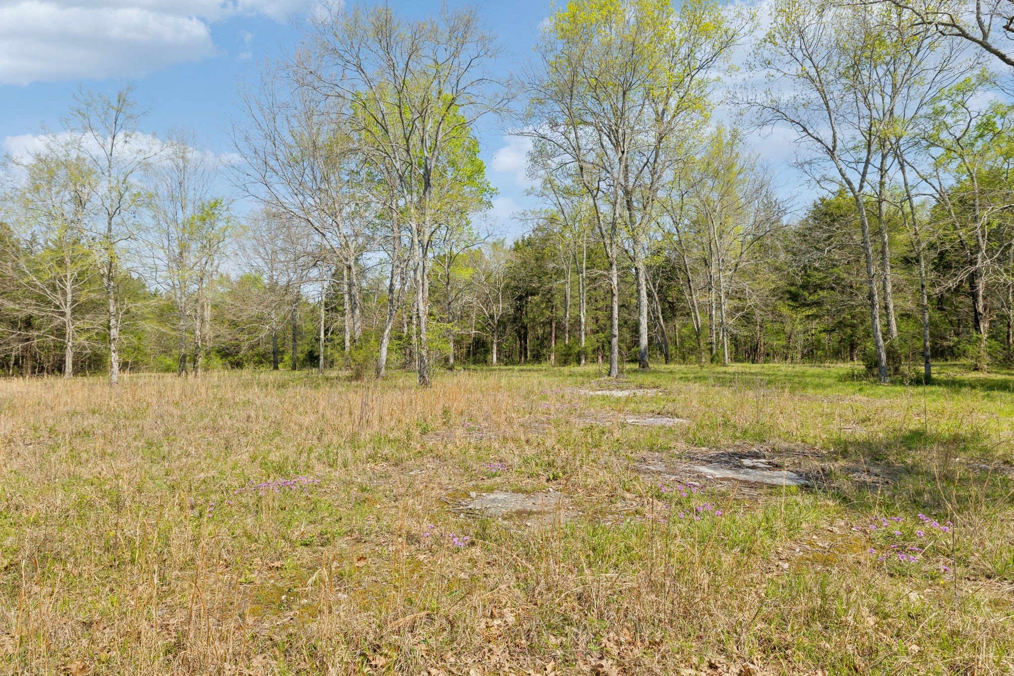 1716 South Berlin Road Lewisburg, TN 37091 - Photo 31 of 78 a view of a green field