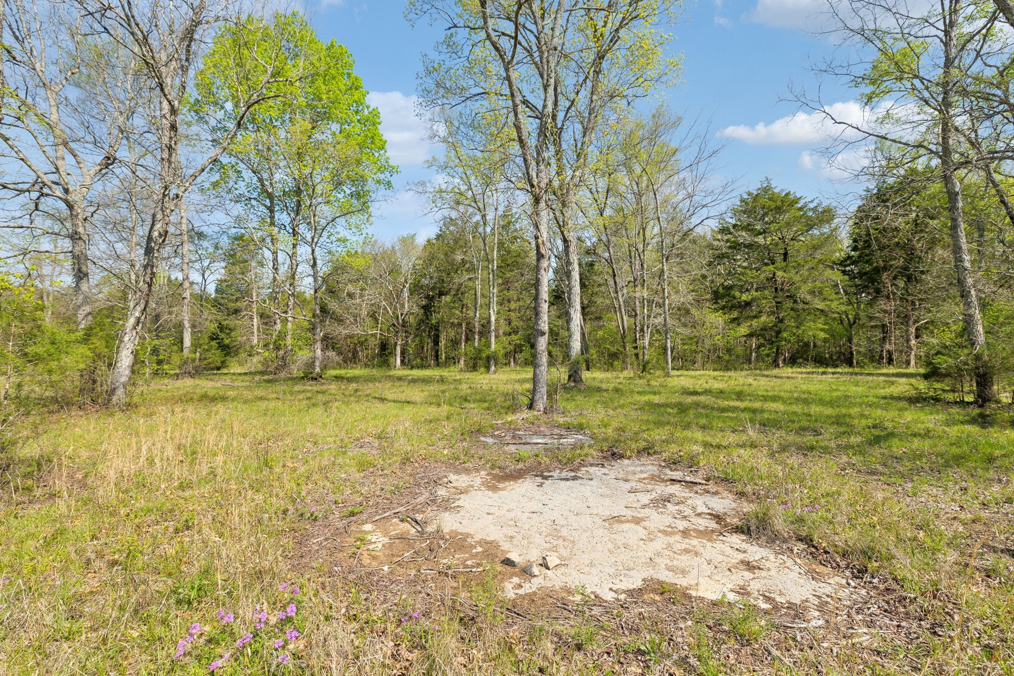 1716 South Berlin Road Lewisburg, TN 37091 - Photo 32 of 78 a view of a yard with trees