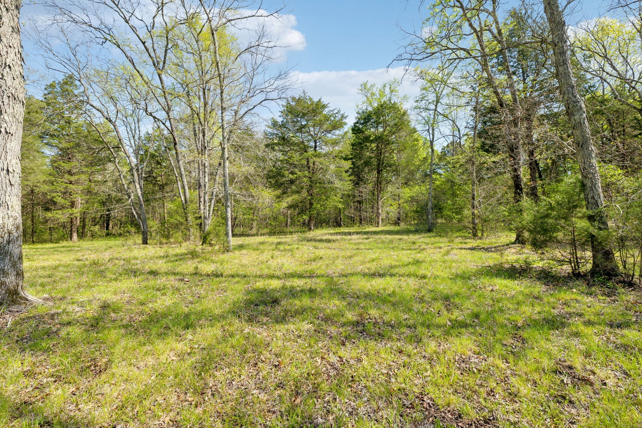 1716 South Berlin Road Lewisburg, TN 37091 - Photo 33 of 78 a view of outdoor space with deck and yard