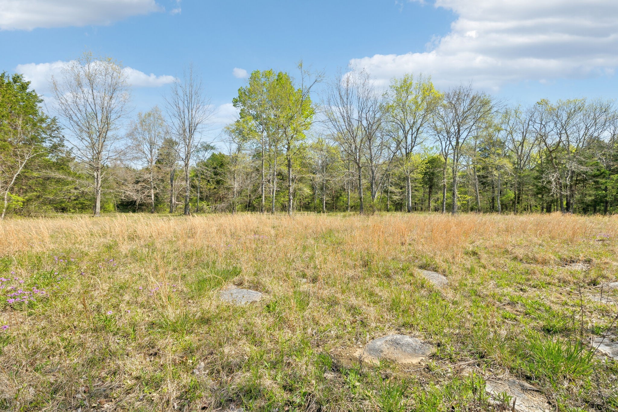 1716 South Berlin Road Lewisburg, TN 37091 - Photo 34 of 78