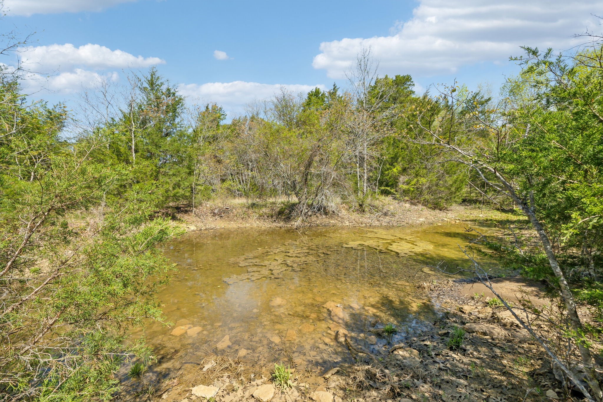 1716 South Berlin Road Lewisburg, TN 37091 - Photo 38 of 78