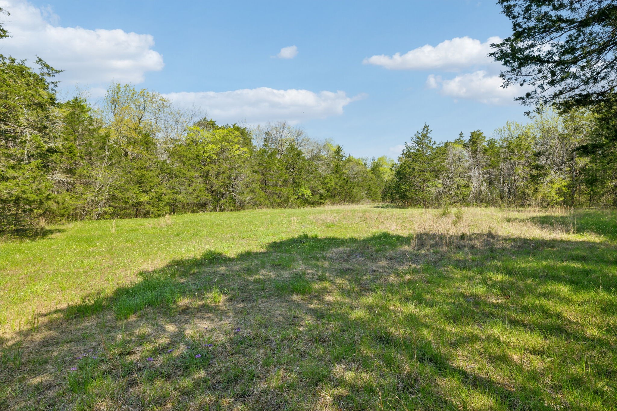 1716 South Berlin Road Lewisburg, TN 37091 - Photo 39 of 78 a view of a field with an ocean and trees in the background