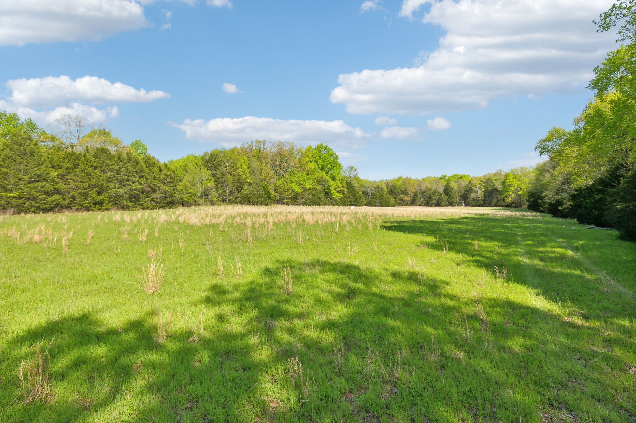 1716 South Berlin Road Lewisburg, TN 37091 - Photo 4 of 78