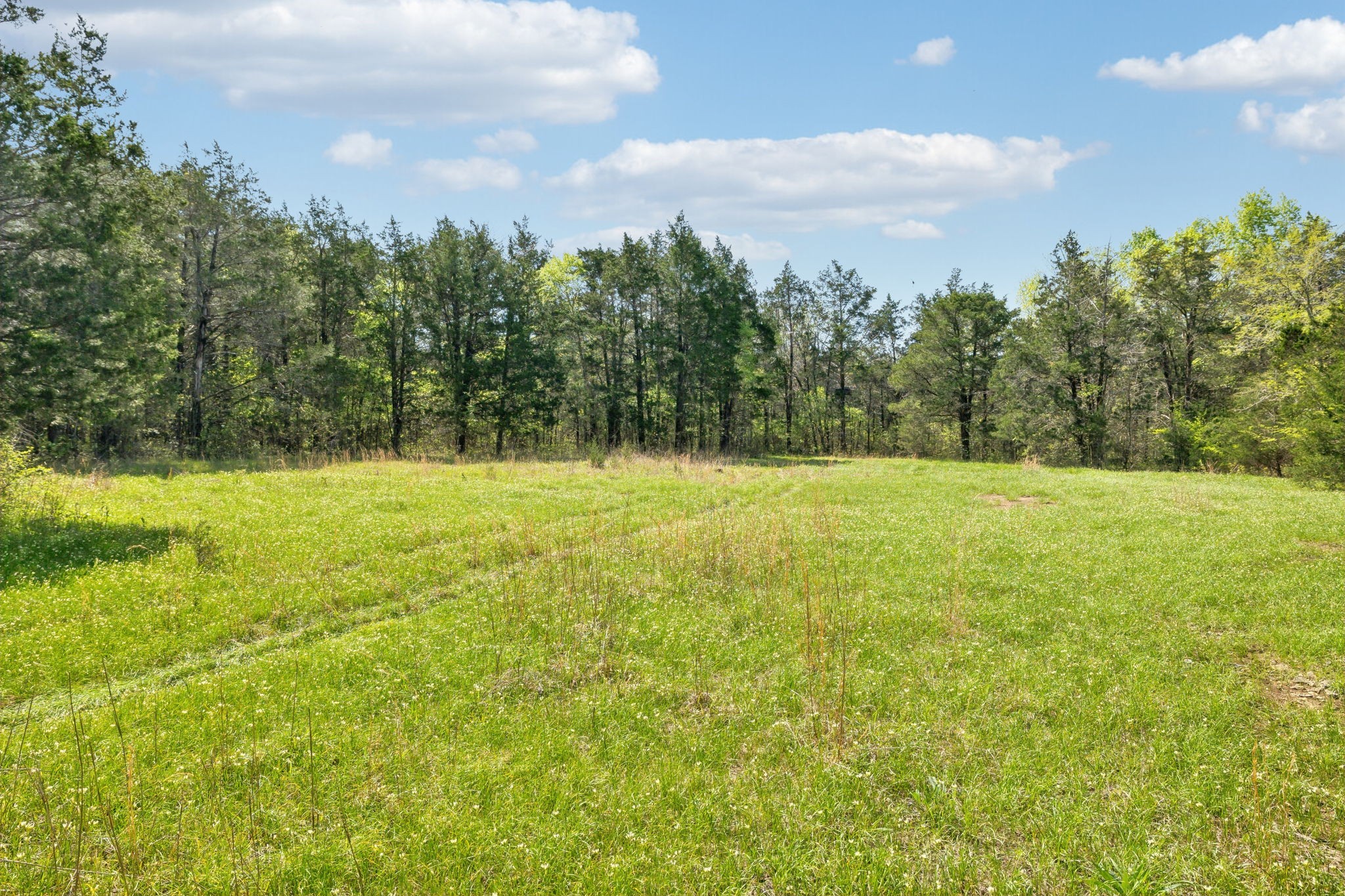 1716 South Berlin Road Lewisburg, TN 37091 - Photo 41 of 78 a view of a field with trees in the background
