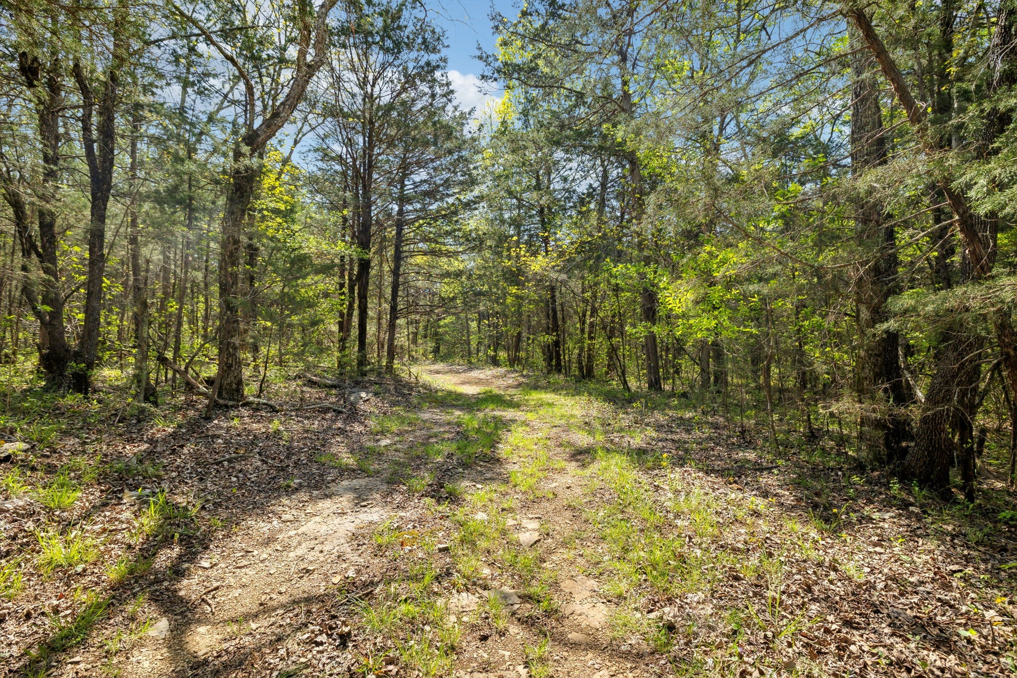 1716 South Berlin Road Lewisburg, TN 37091 - Photo 42 of 78 a view of outdoor space and yard