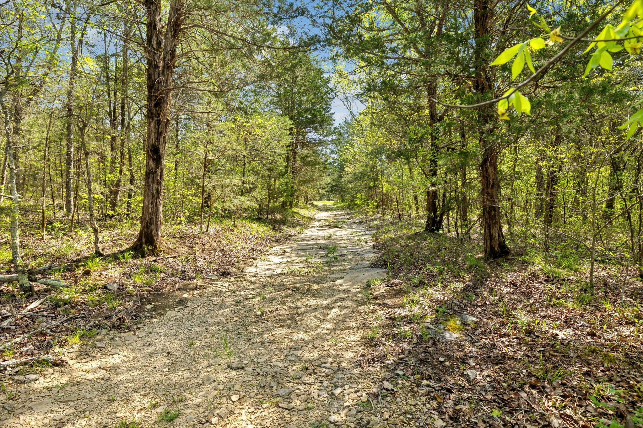1716 South Berlin Road Lewisburg, TN 37091 - Photo 43 of 78