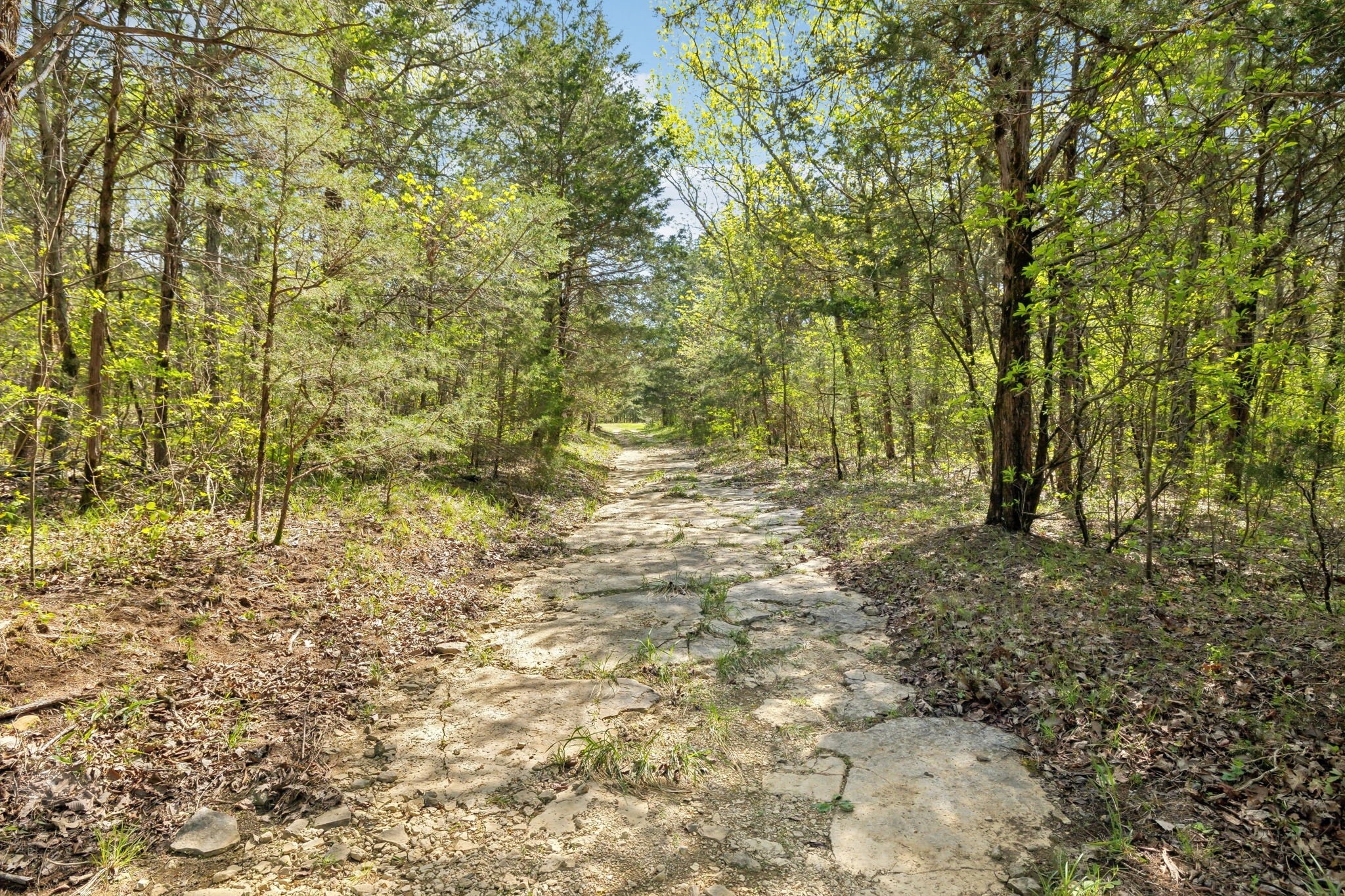 1716 South Berlin Road Lewisburg, TN 37091 - Photo 44 of 78