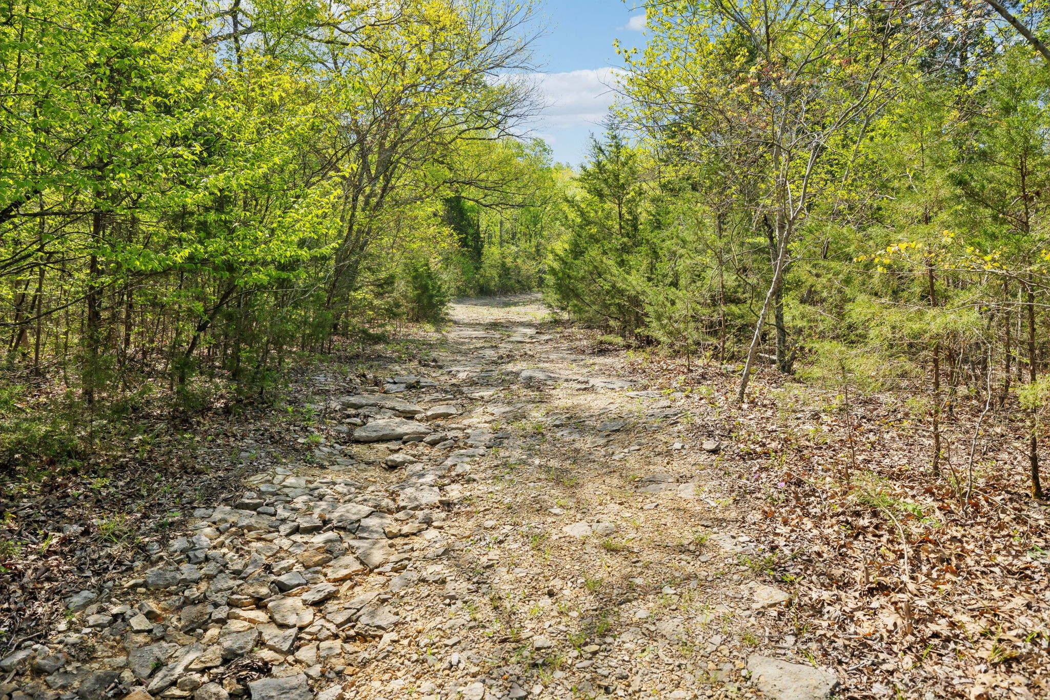 1716 South Berlin Road Lewisburg, TN 37091 - Photo 45 of 78