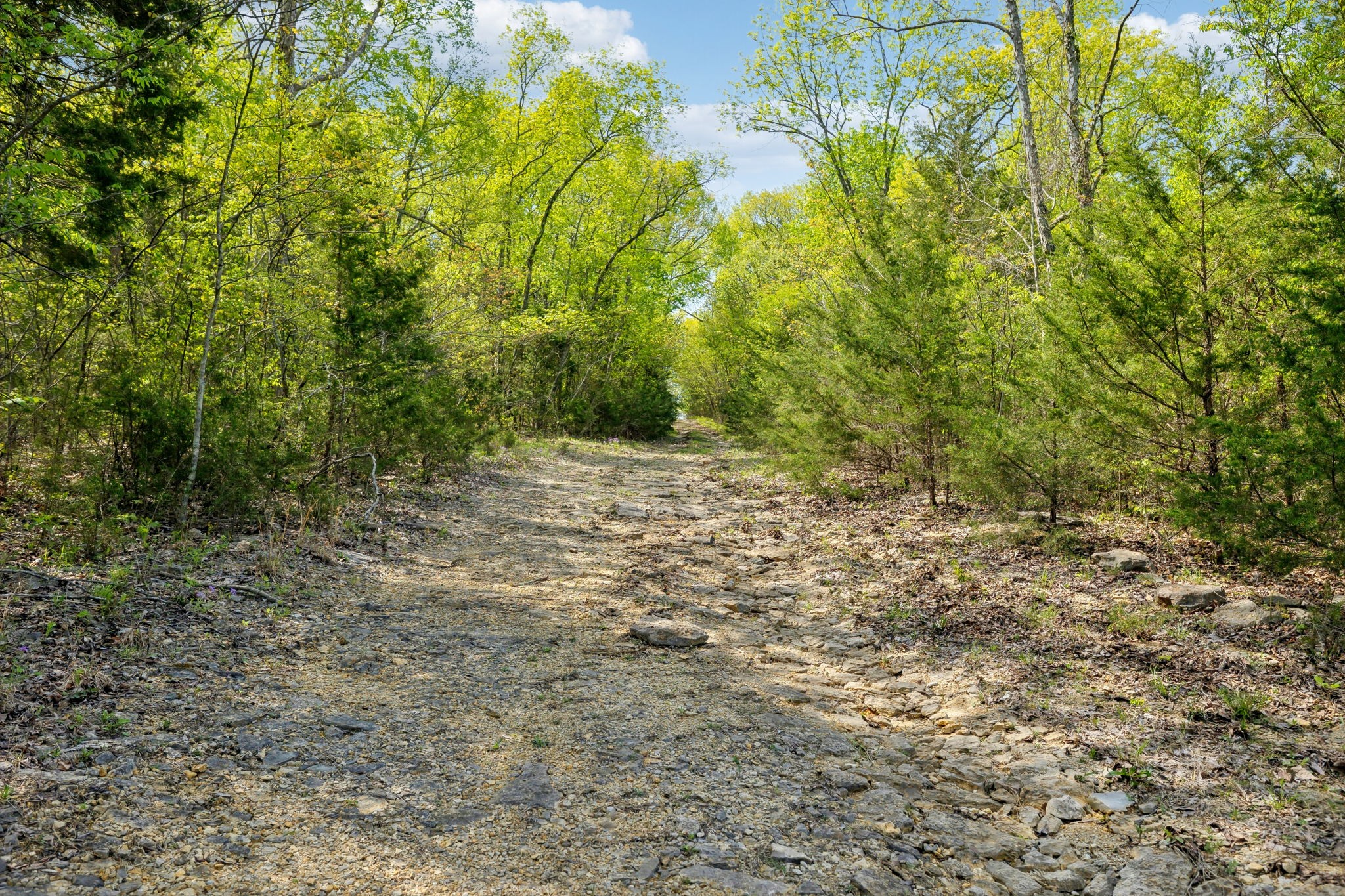 1716 South Berlin Road Lewisburg, TN 37091 - Photo 48 of 78