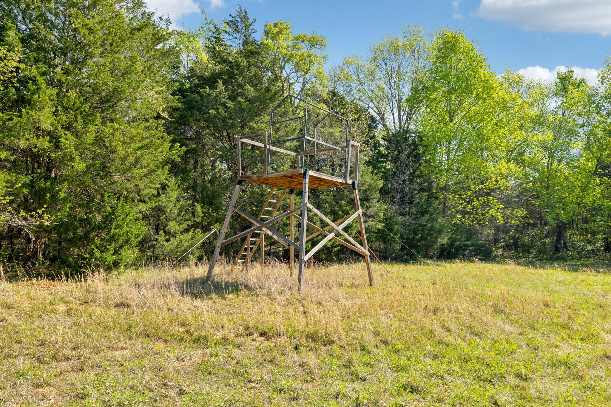 1716 South Berlin Road Lewisburg, TN 37091 - Photo 5 of 78