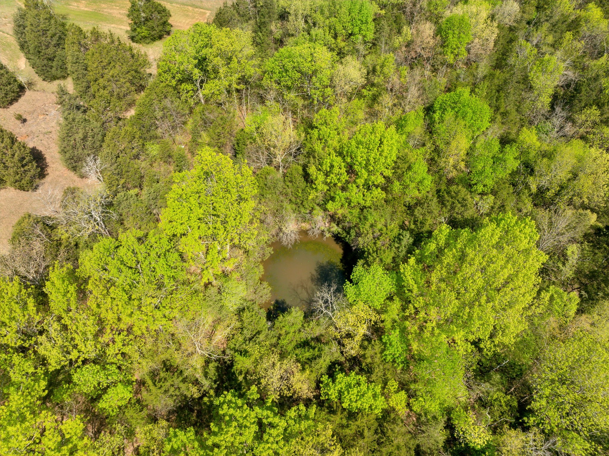 1716 South Berlin Road Lewisburg, TN 37091 - Photo 54 of 78