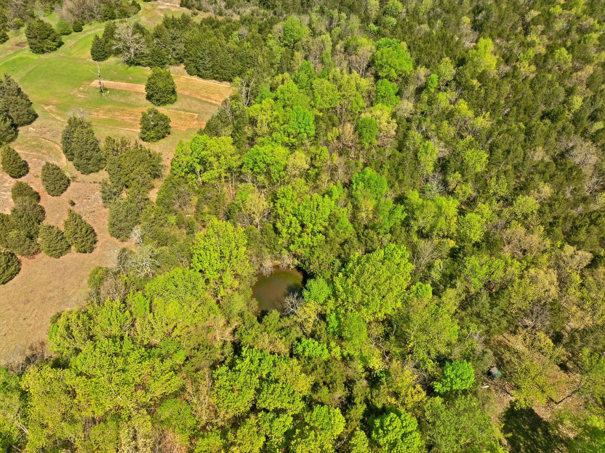 1716 South Berlin Road Lewisburg, TN 37091 - Photo 55 of 78