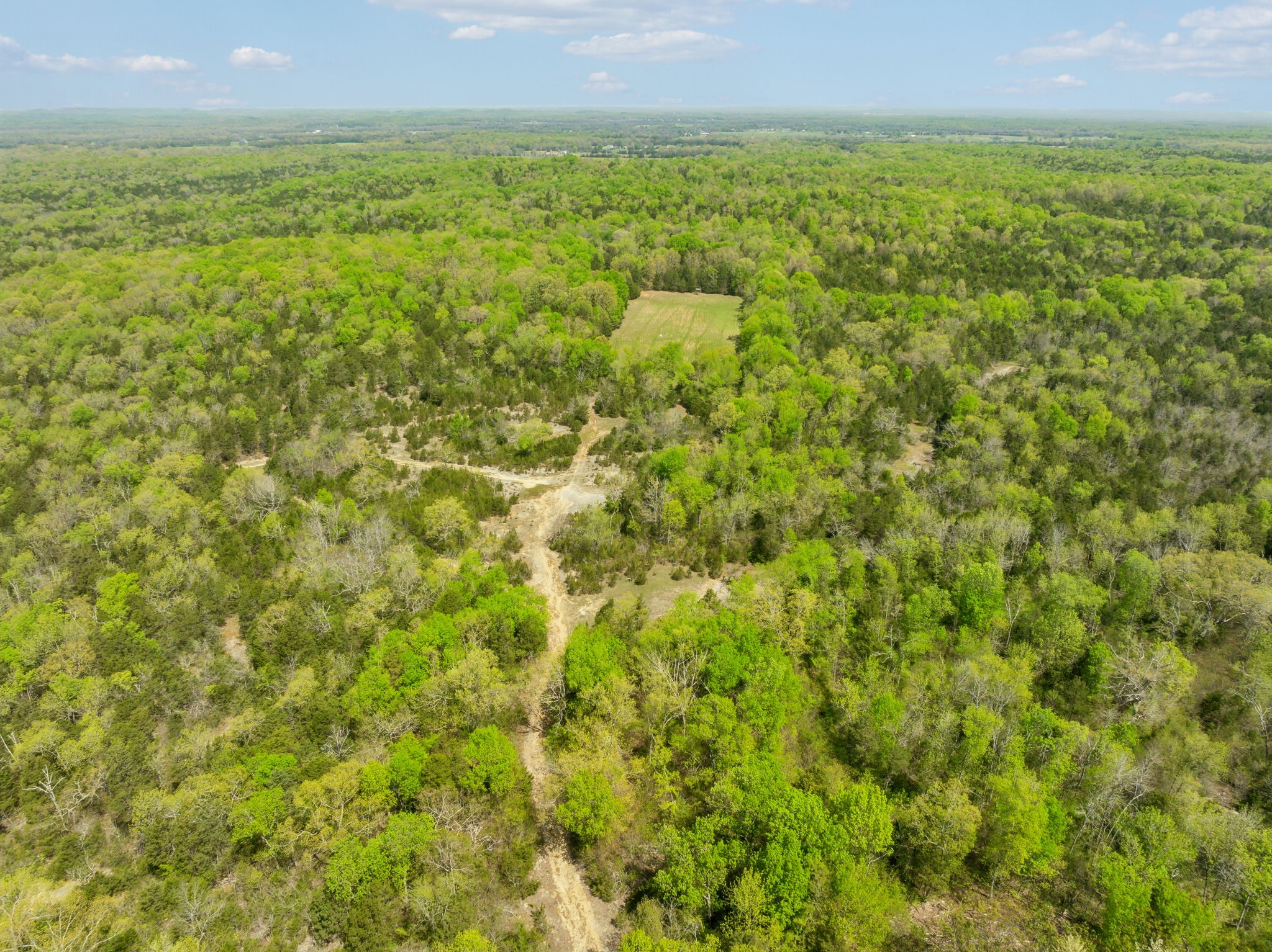 1716 South Berlin Road Lewisburg, TN 37091 - Photo 60 of 78 a view of a field with an outdoor space