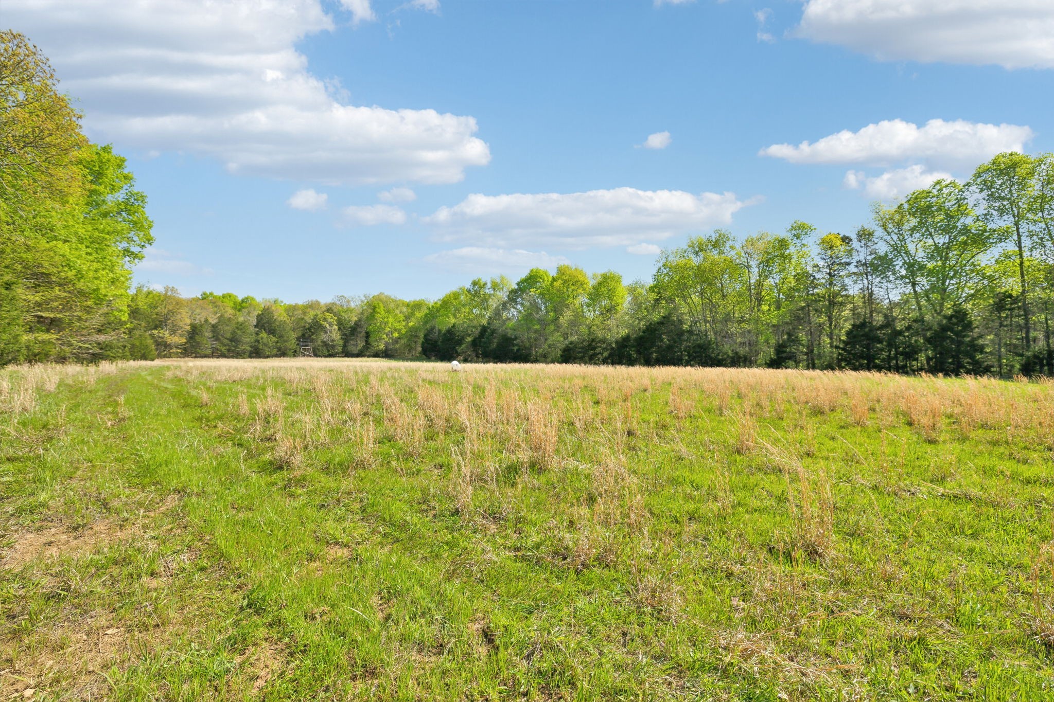 1716 South Berlin Road Lewisburg, TN 37091 - Photo 6 of 78 a view of lake view and mountain view
