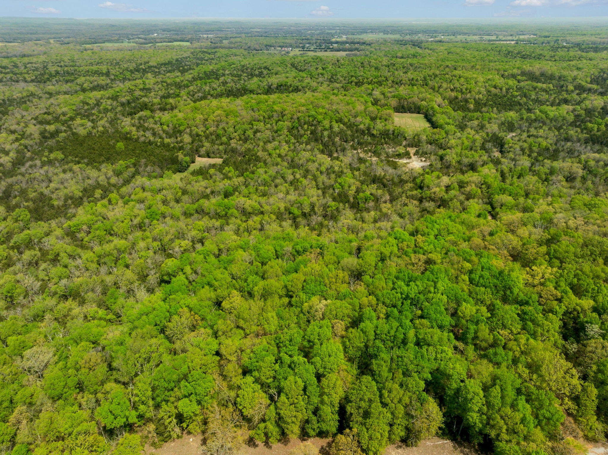 1716 South Berlin Road Lewisburg, TN 37091 - Photo 63 of 78 a view of a field with an outdoor space