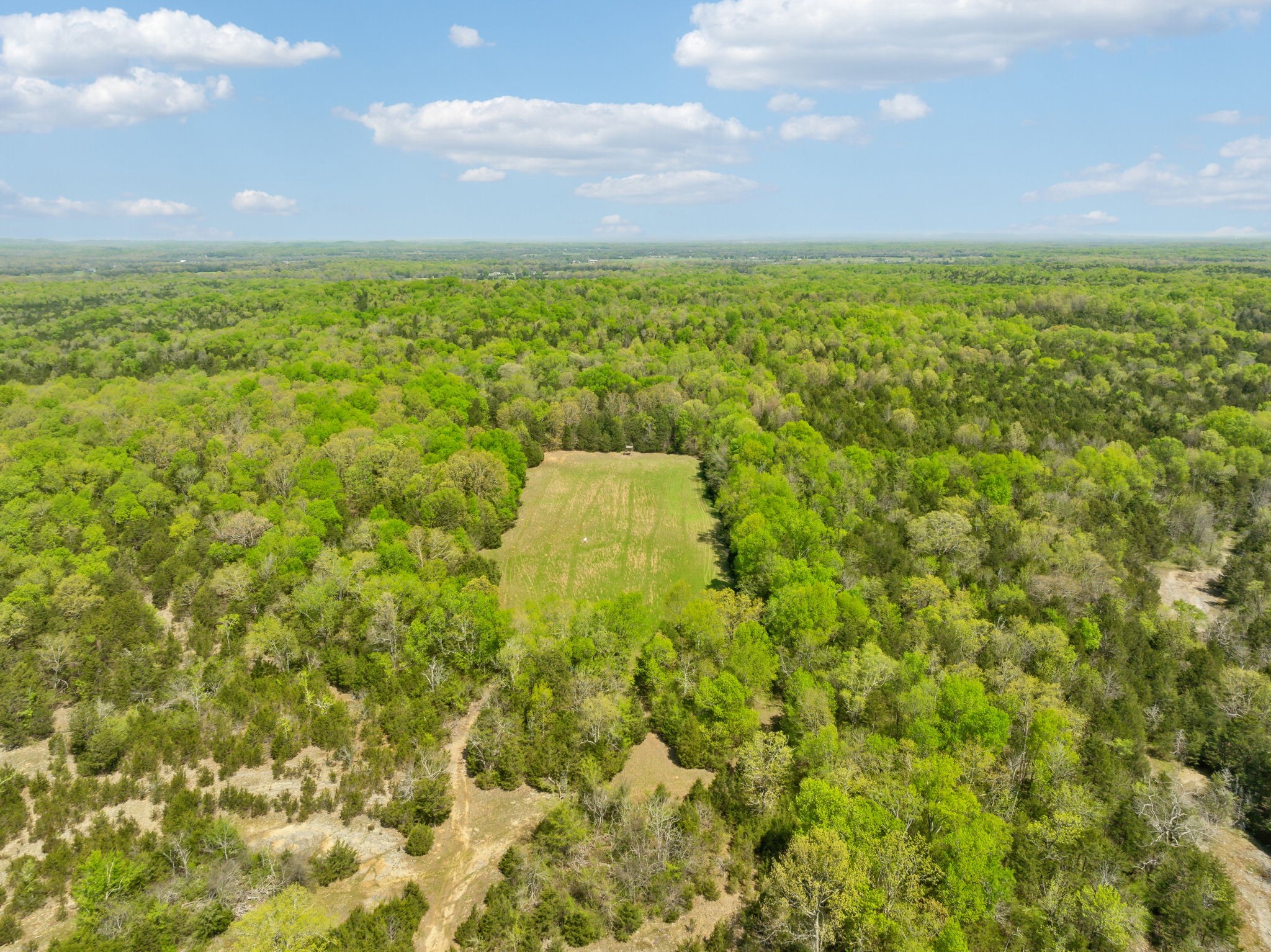 1716 South Berlin Road Lewisburg, TN 37091 - Photo 66 of 78