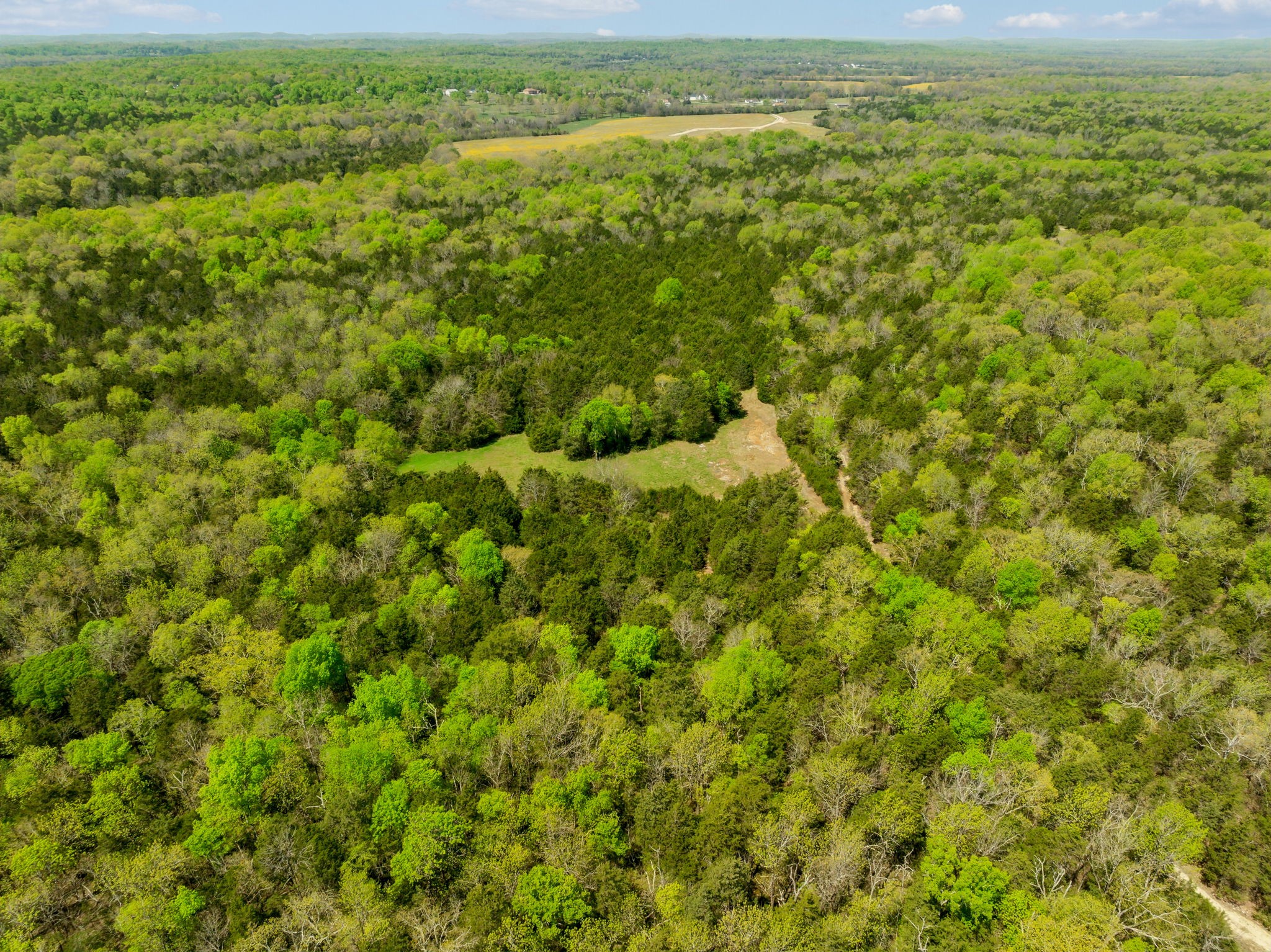 1716 South Berlin Road Lewisburg, TN 37091 - Photo 68 of 78