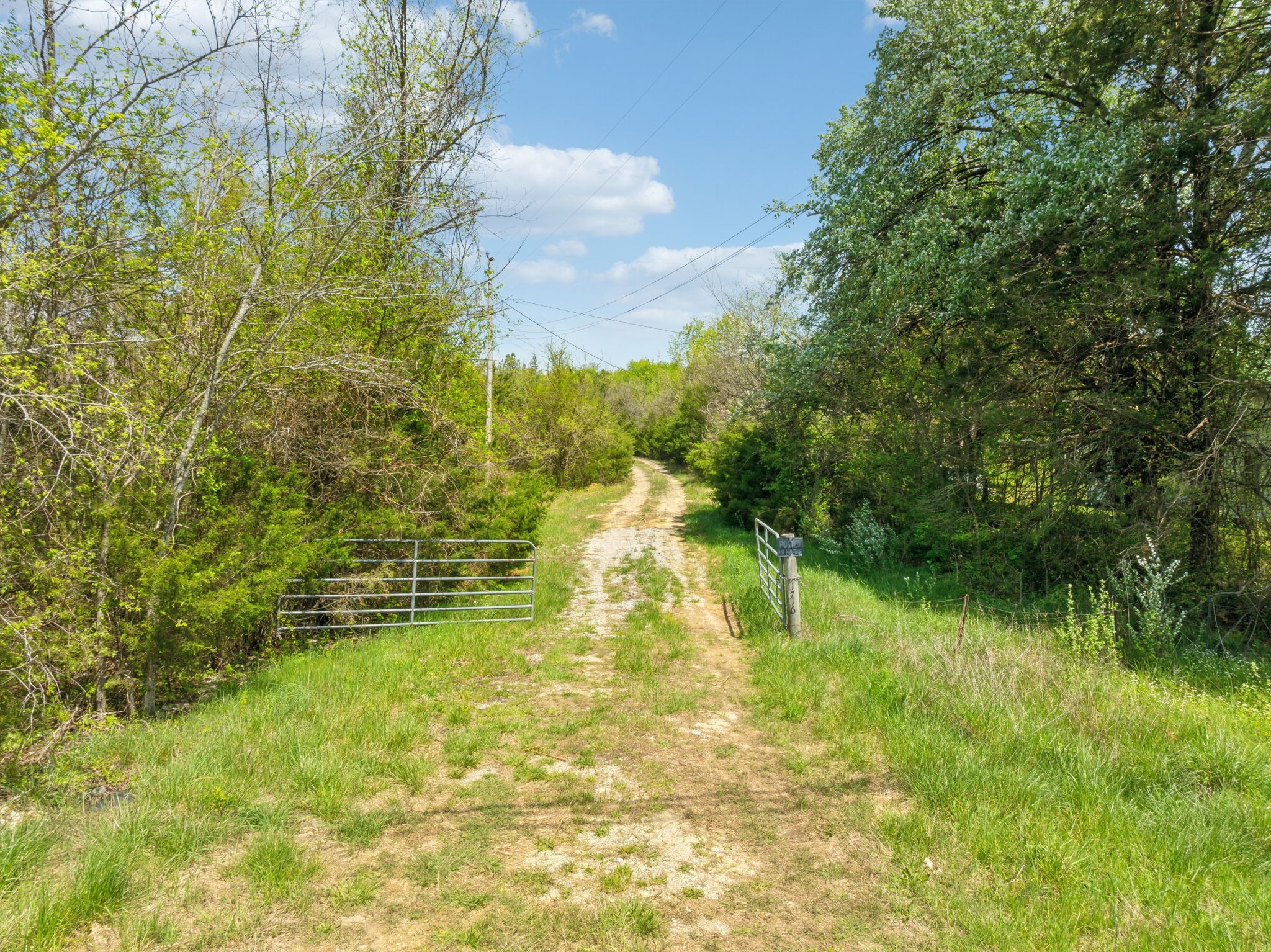 1716 South Berlin Road Lewisburg, TN 37091 - Photo 70 of 78 a view of yard with green space