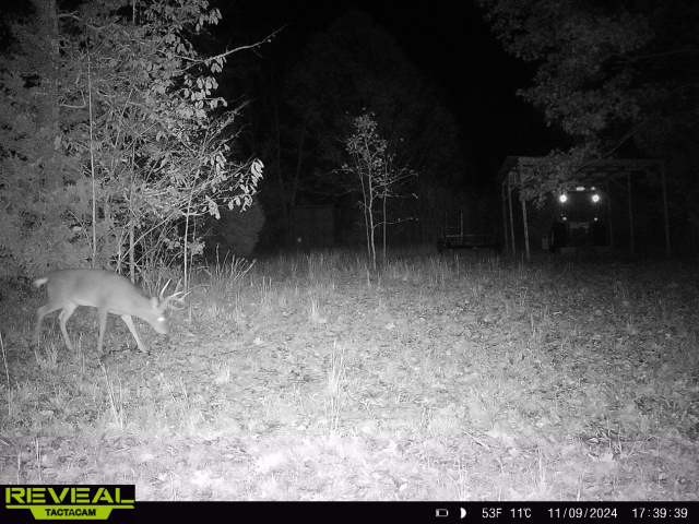 1716 South Berlin Road Lewisburg, TN 37091 - Photo 73 of 78