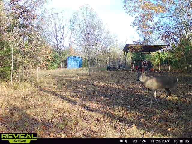 1716 South Berlin Road Lewisburg, TN 37091 - Photo 74 of 78 a backyard of a house with table and chairs