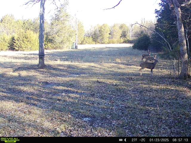 1716 South Berlin Road Lewisburg, TN 37091 - Photo 77 of 78