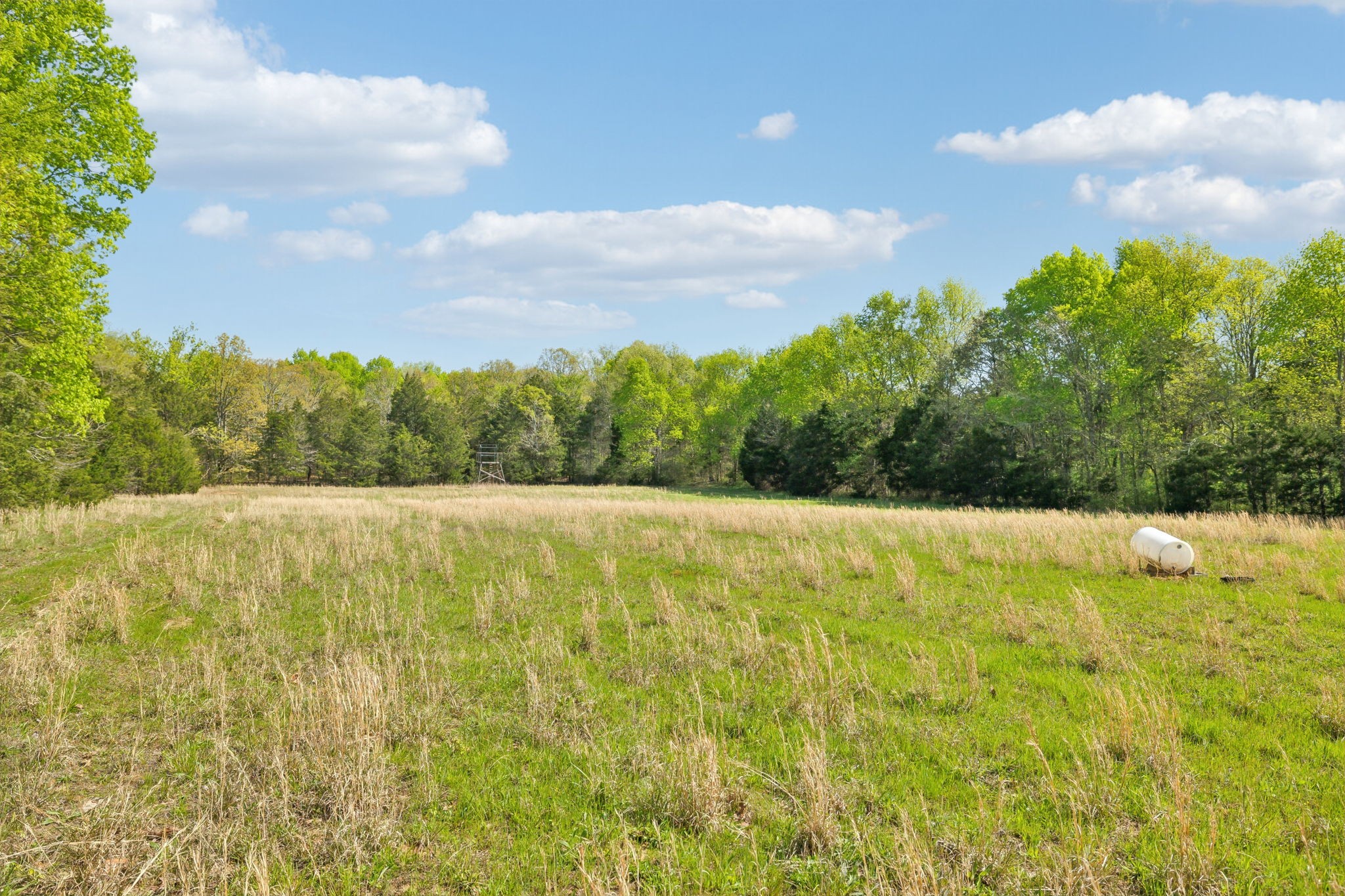 1716 South Berlin Road Lewisburg, TN 37091 - Photo 9 of 78 a view of outdoor space and yard