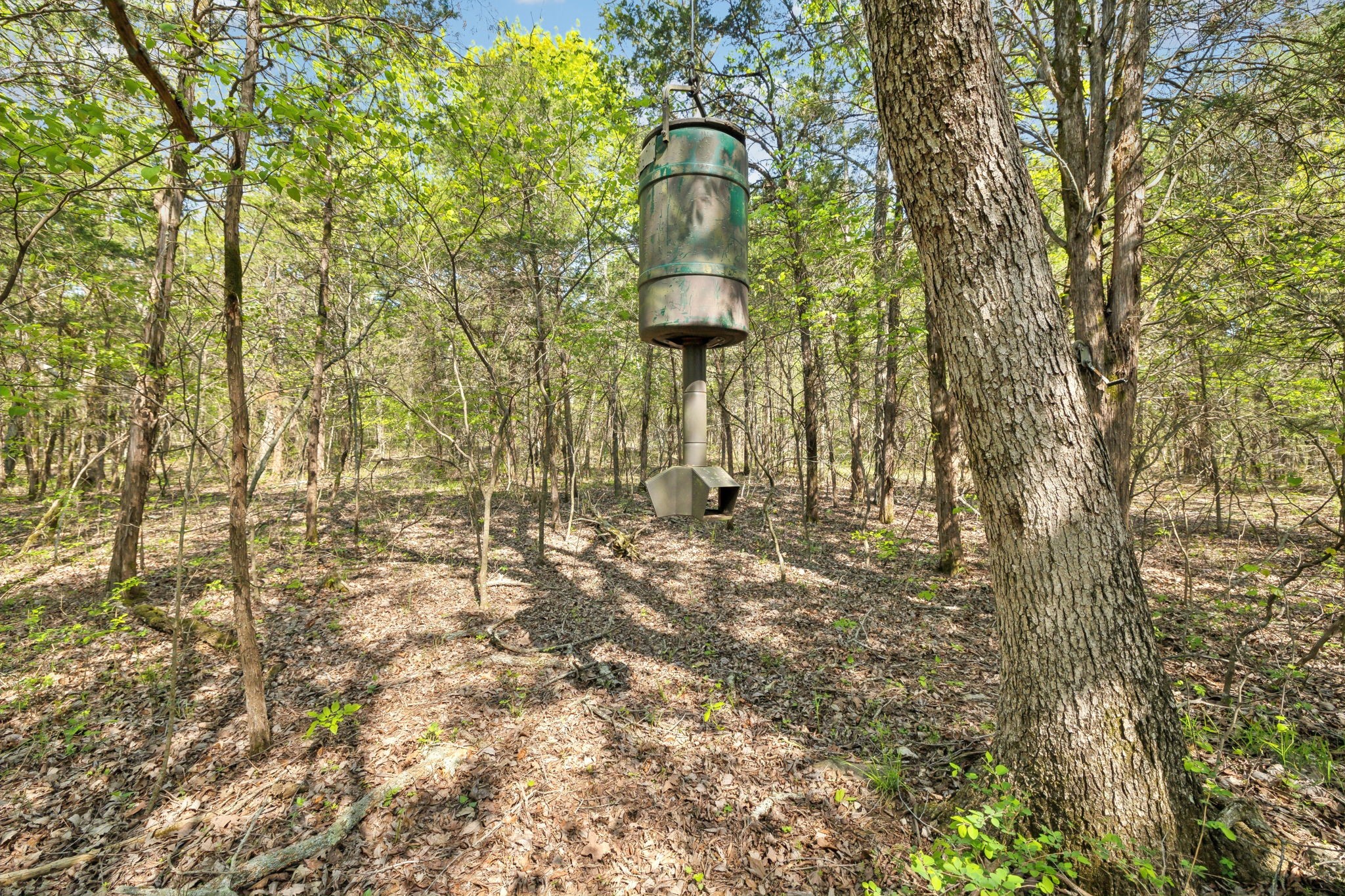 1716 South Berlin Road Lewisburg, TN 37091 - Photo 10 of 78