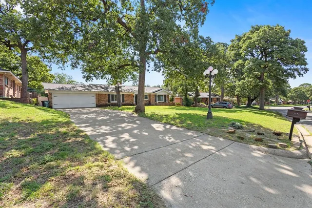 a view of a park with large trees