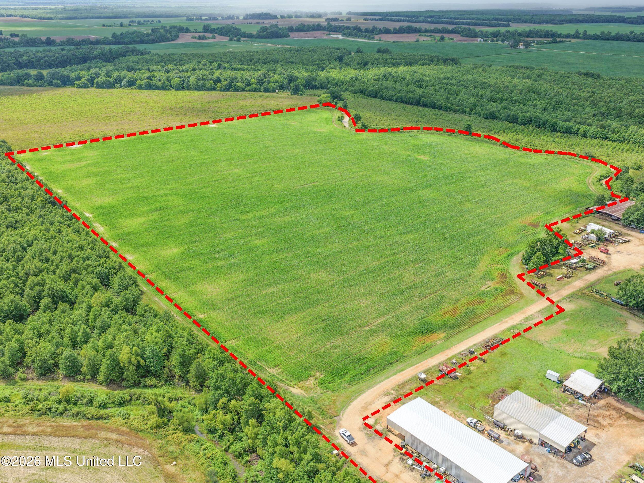 Dummyline Road Batesville, MS 38606 - Photo 13 of 44 2tndllnd1c