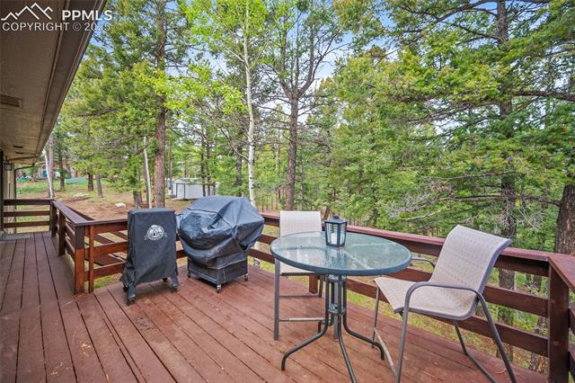693 Kutsu Ridge Road Florissant, CO 80816 - Photo 13 of 21 Gallery Image 13