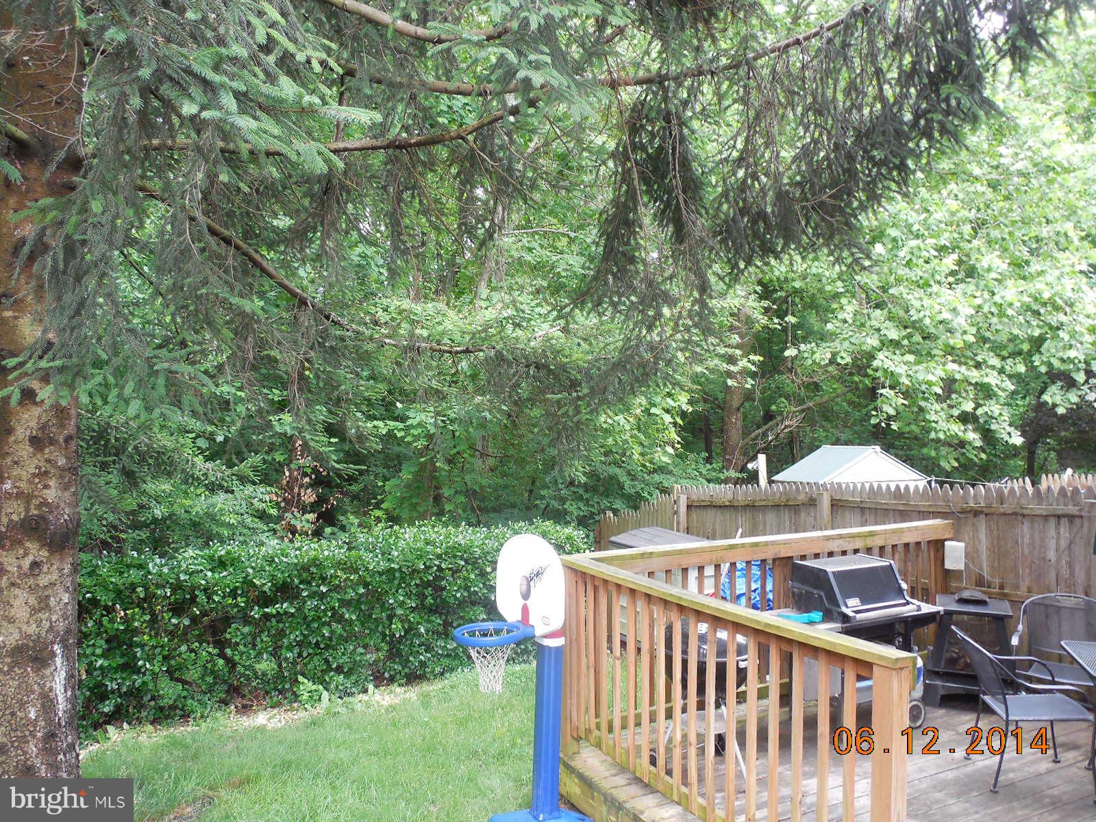 3455 Santee Road Baltimore, MD 21236 - Photo 23 of 25 Rear View of Trees Oh So Private!