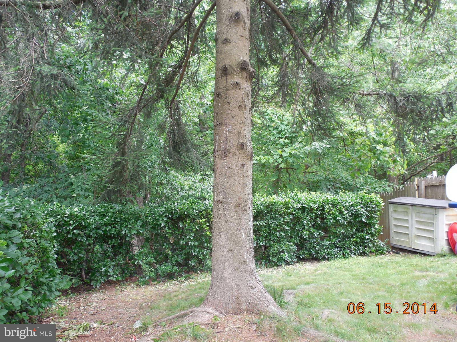3455 Santee Road Baltimore, MD 21236 - Photo 25 of 25 Rear Yard View 2
