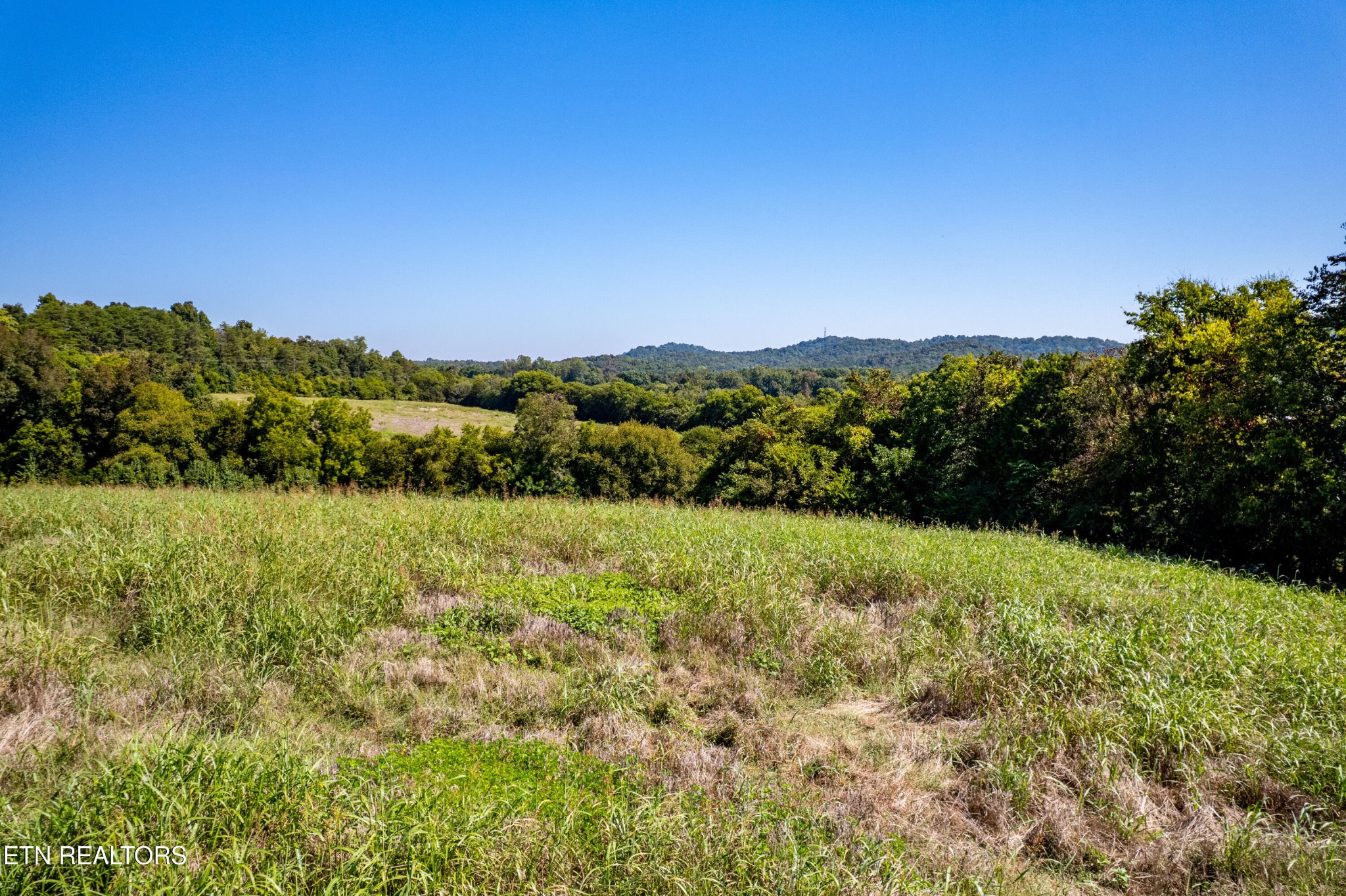 0 National Campground Road Greenback, TN 37742 - Photo 9 of 35 Gallery Image 9