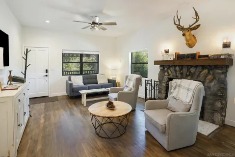 a living room with furniture and a fireplace
