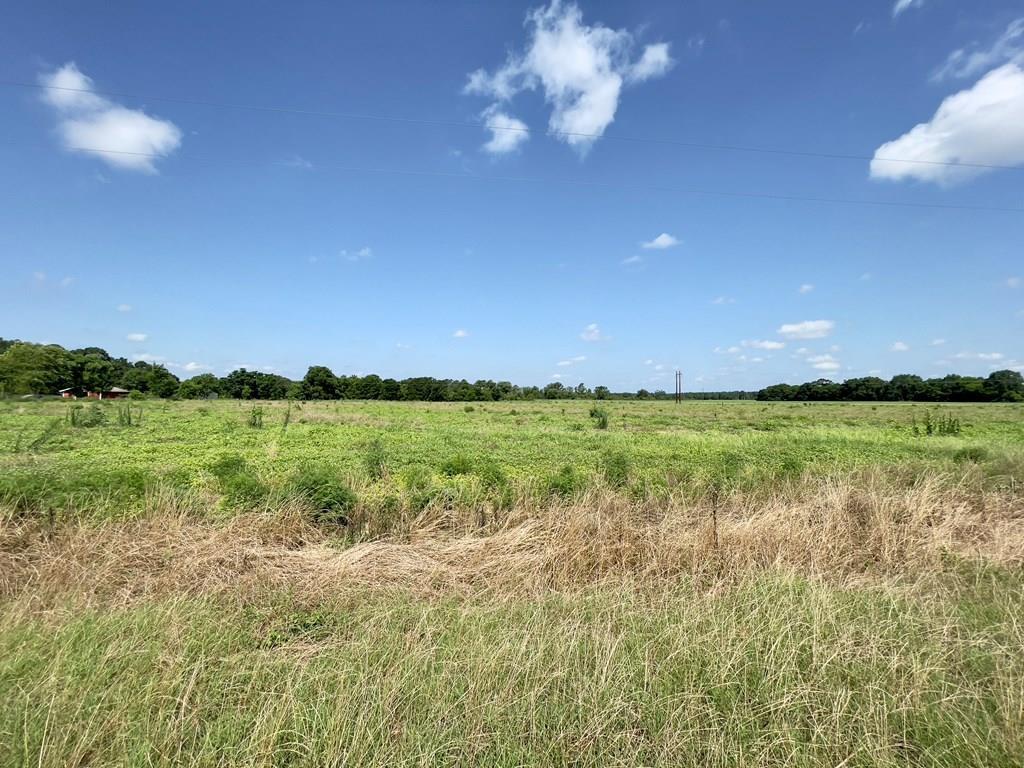 490 Bill Yance Road Webb, AL 36376 - Photo 1 of 10