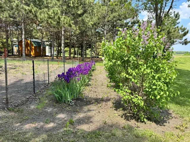 $149,000 | 215 Marshall Avenue, Henning, MN 56551